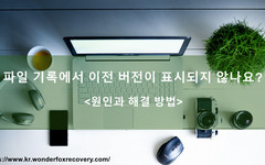 이전 버전 없음