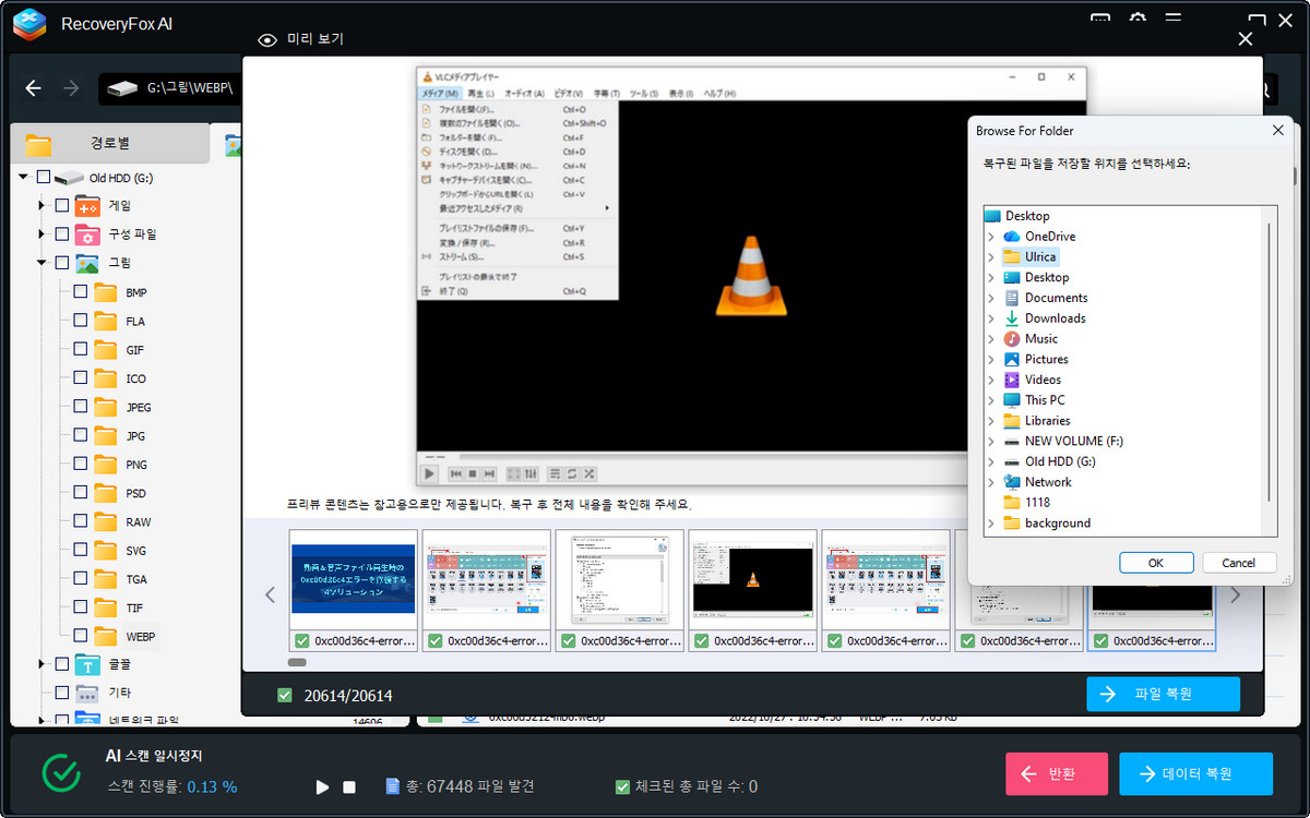 RecoveryFox 복구 및 출력 화면