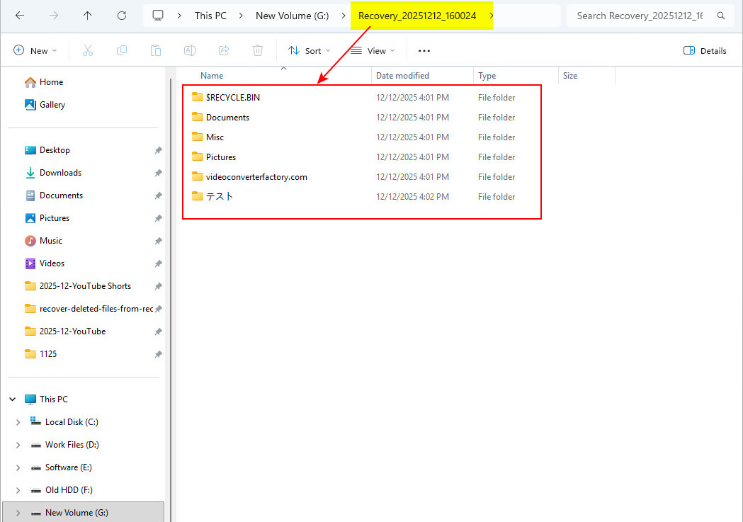 복구된 모든 손실 파일 결과 화면